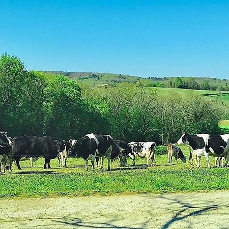« Le Vieux Hangar » Gite A La Ferme Le Buisson-de-Cadouin Екстериор снимка