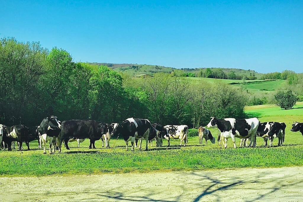 « Le Vieux Hangar » Gite A La Ferme Le Buisson-de-Cadouin Екстериор снимка